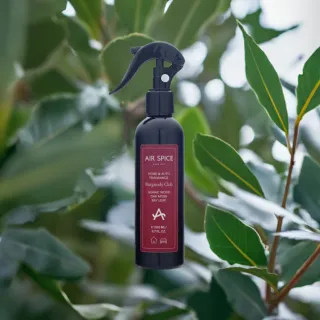 Perfumy do auta Burgundy Club - liść laurowy, gwajak, dąb